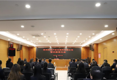 以案為鑒，警醒前行——貴州陽光產(chǎn)權(quán)交易所黨委組織召開2024年警示教育大會