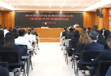 貴州陽(yáng)光產(chǎn)權(quán)交易所有限公司舉辦2024年“安全生產(chǎn)月”專(zhuān)題培訓(xùn)