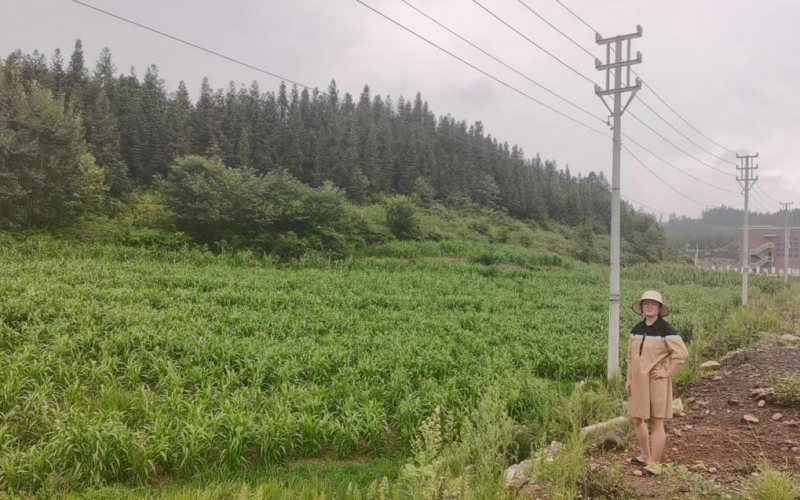 貴州東湖新城市建設投資有限公司持有的4處商業(yè)地塊