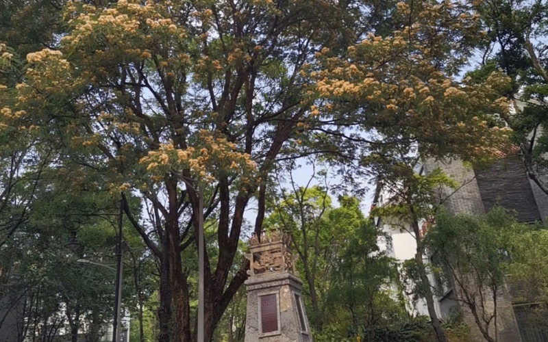 云南省大理山水間二期一組團(tuán)草鷺4－2號(hào)房產(chǎn)轉(zhuǎn)讓(二次掛牌)